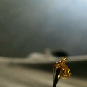 Meet your Posher, Danny