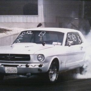 Meet your Posher, Earl