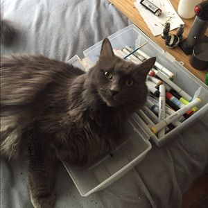 Meet your Posher, Susan