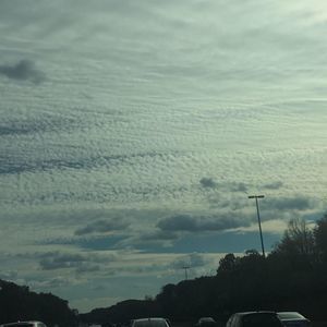 Meet your Posher, Carmit