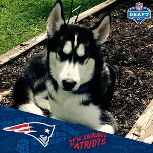 Meet your Posher, Teresa