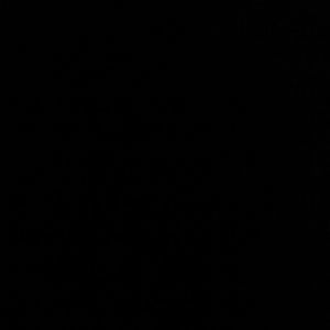 Meet your Posher, Coco