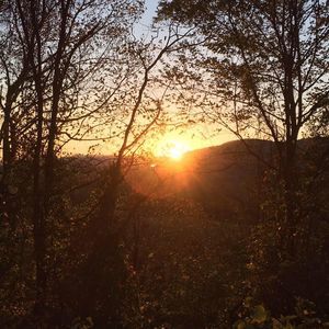 Meet your Posher, Shanda