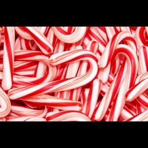 Meet your Posher, Paul