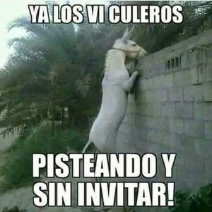 Meet your Posher, Saul