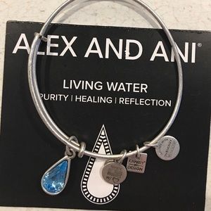 Alex and Ani bracelet