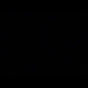 Meet your Posher, Brennan