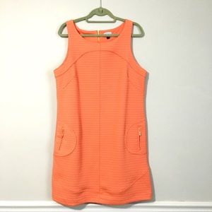 Apricot Shift Dress