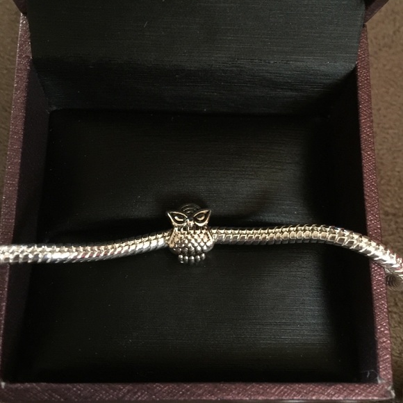 Owl Charm