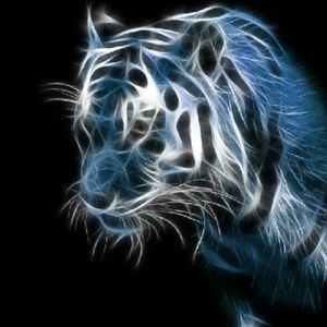 Meet your Posher, Keith