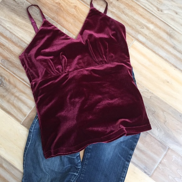 LAST CHANCE⭐️Crushed velvet camisole- Chadwick's