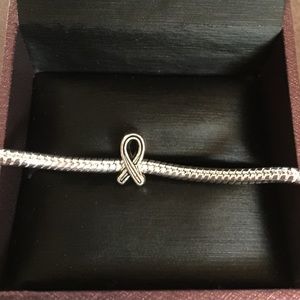 Awareness Ribbon Charm