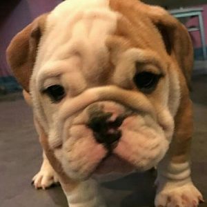 Meet your Posher, Marisa