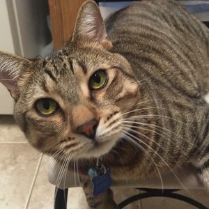 Meet your Posher, Emmaline