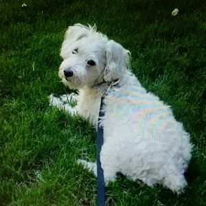 Meet your Posher, Tami