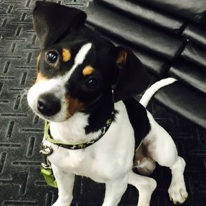 Meet your Posher, Adriana