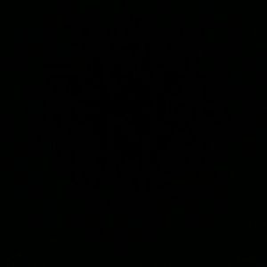 Meet your Posher, Davondra