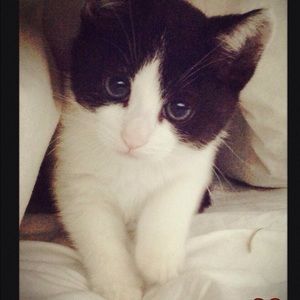 Meet your Posher, Celine