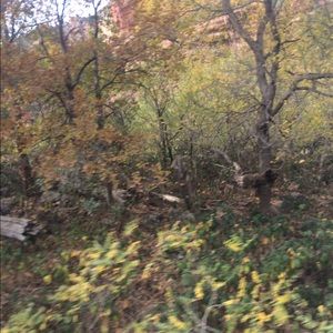 Meet your Posher, Anita