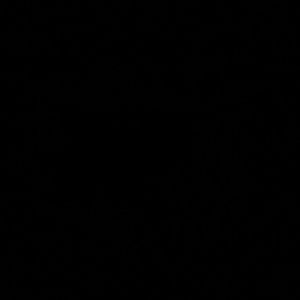 Meet your Posher, Danny