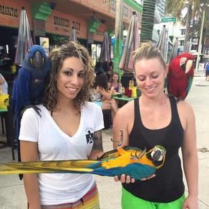 Meet your Posher, Nieves