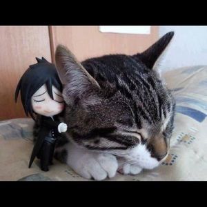 Meet your Posher, Madeline