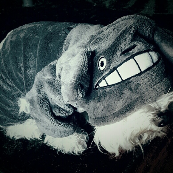 Meet your Posher, Sarah - Picture 2 of 4