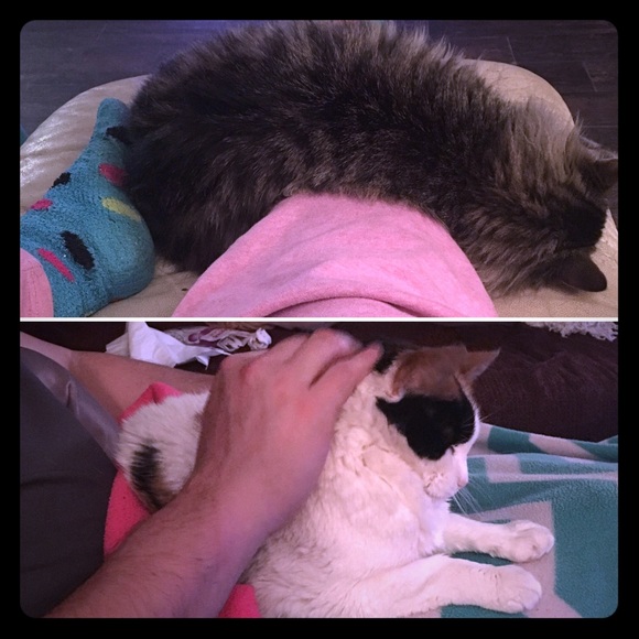 Meet your Posher, Mon Z - Picture 5 of 6