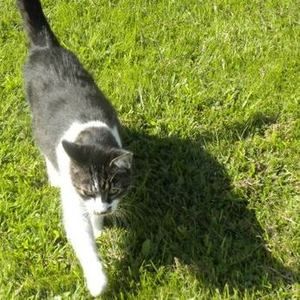 Meet your Posher, Shawna