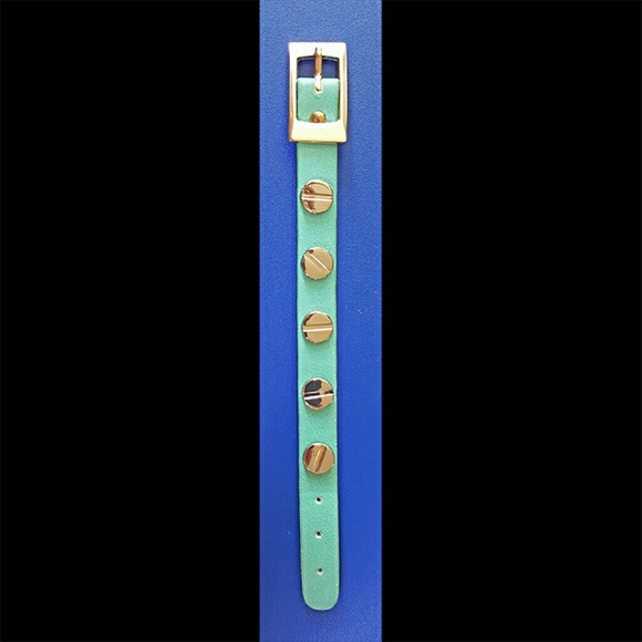 NWOT⭐Express⭐Teal & Silver-tone Metal Detail Vegan Leather Bracelet - Picture 2 of 3