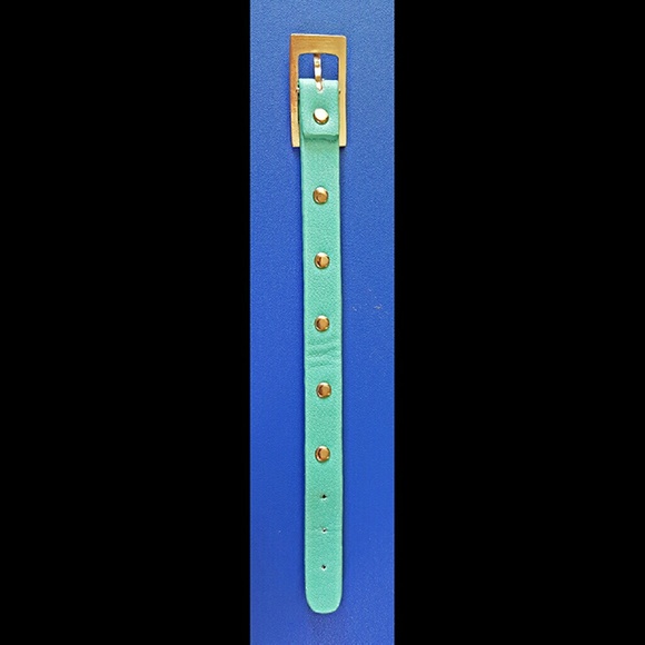 NWOT⭐Express⭐Teal & Silver-tone Metal Detail Vegan Leather Bracelet - Picture 3 of 3