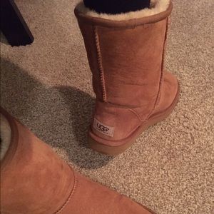 Ugg women's classic boots short