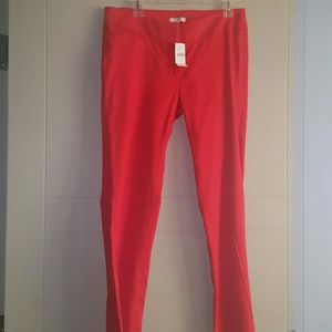 Ann Taylor Loft Pants