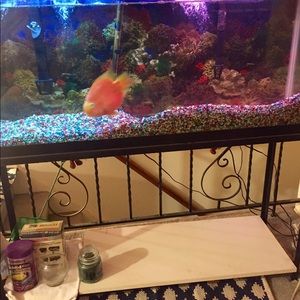 Meet your Posher, Henry