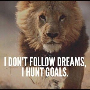 Meet your Posher, Karina