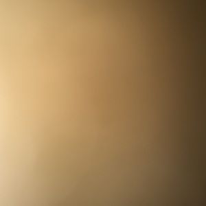 Meet your Posher, Alvin