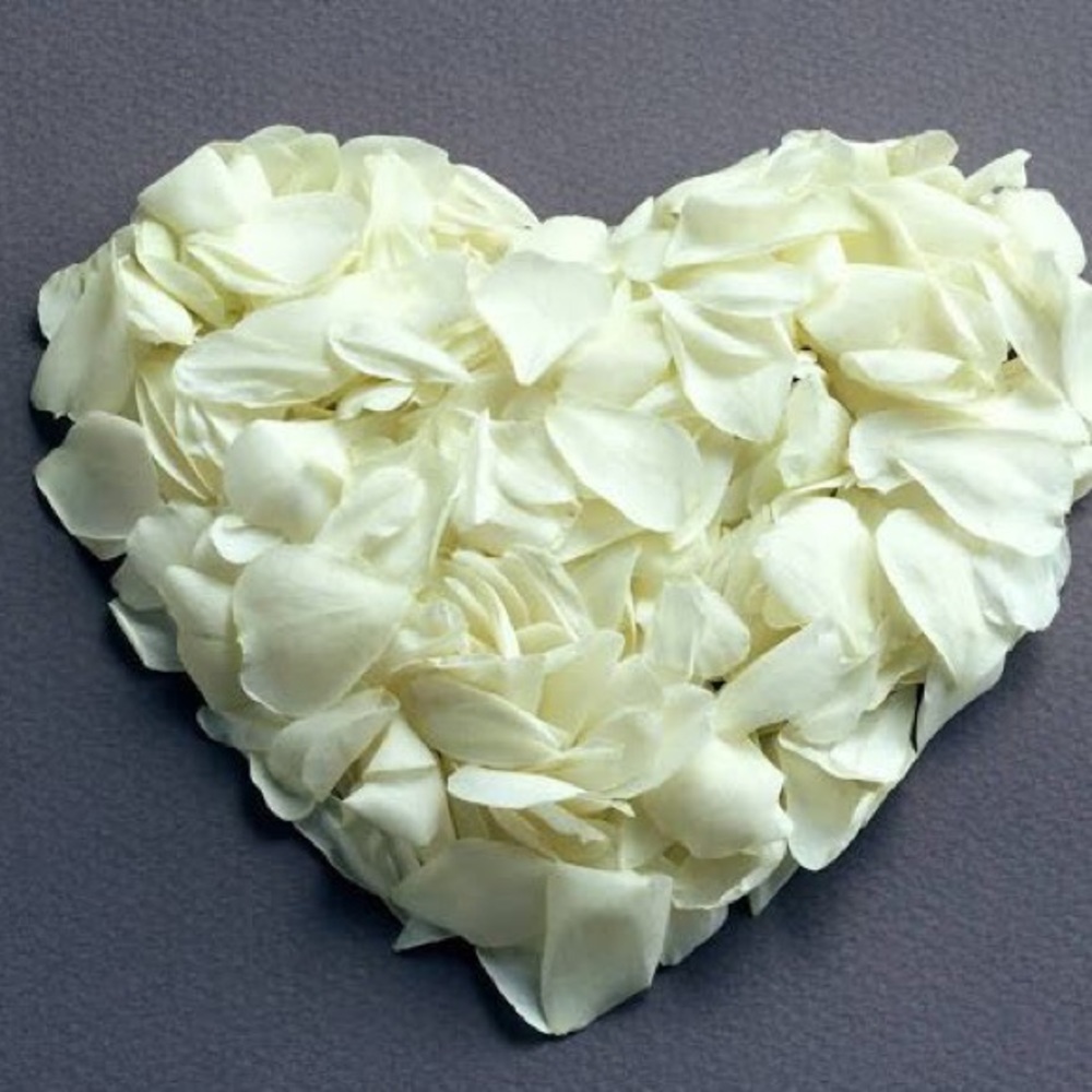 Meet your Posher, Ilana