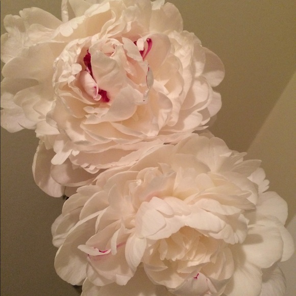 Meet your Posher, Gabrielle - Picture 5 of 5