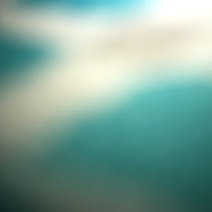 Meet your Posher, Judy