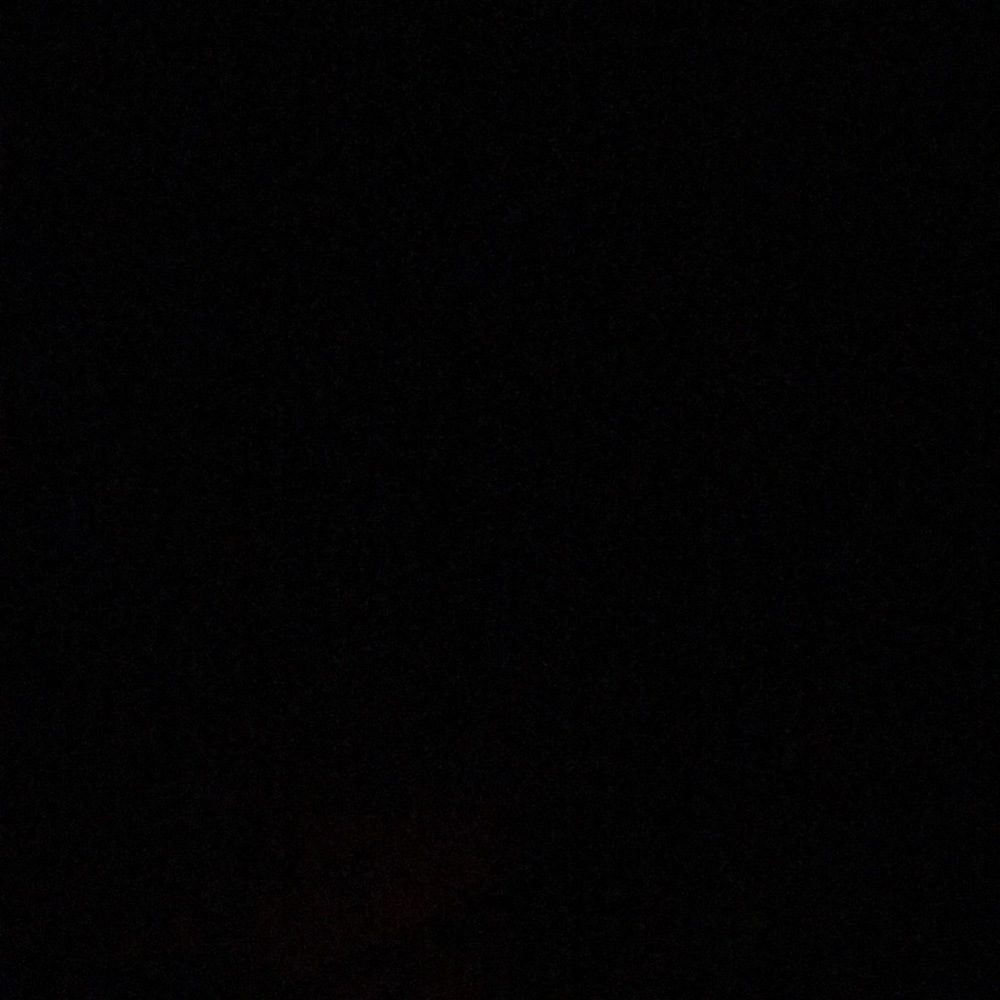 Meet your Posher, Audria