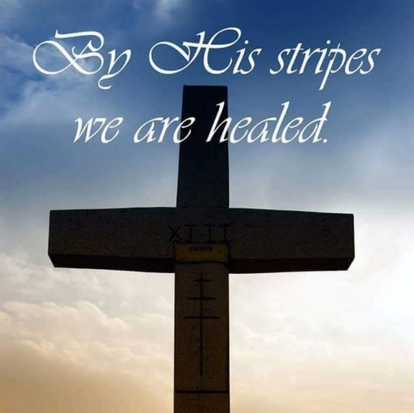 Meet your Posher, Jodi - Picture 4 of 4