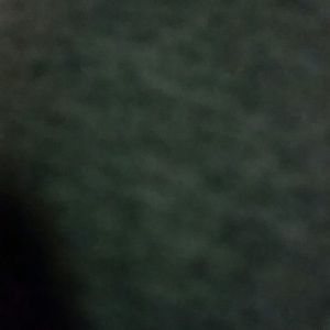 Meet your Posher, Martha