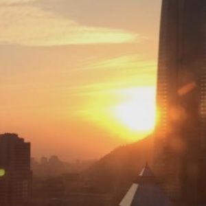 Meet your Posher, Morgan