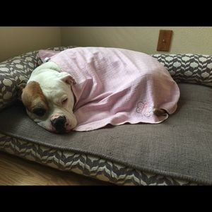 Meet your Posher, Heather