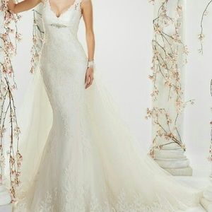 Ivory Wedding dress w/detachable train