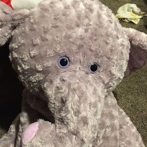 Meet your Posher, Anne