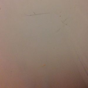 Meet your Posher, Bharat