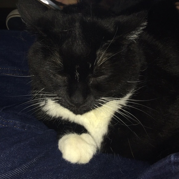 Meet your Posher, Tori - Picture 1 of 1