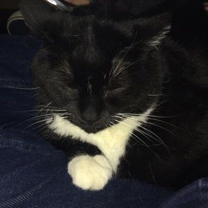 Meet your Posher, Tori