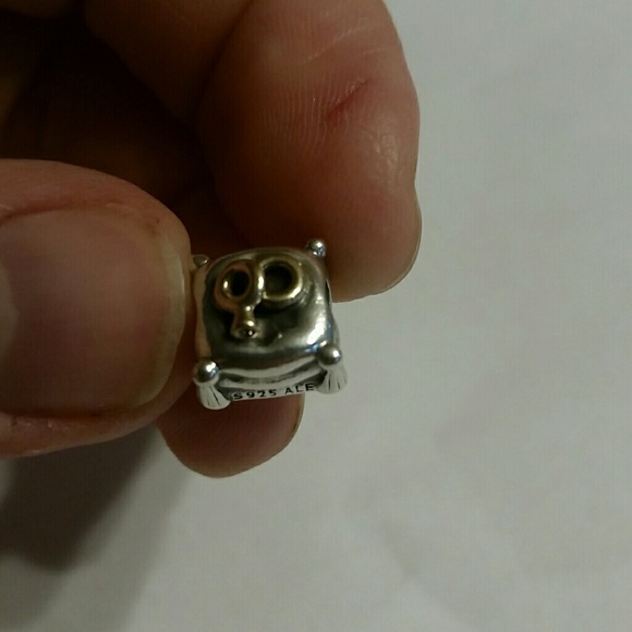 Pandora RETIRED Romantic Union charm